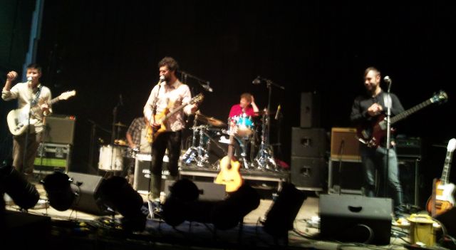 Electric Picnic - Acorn