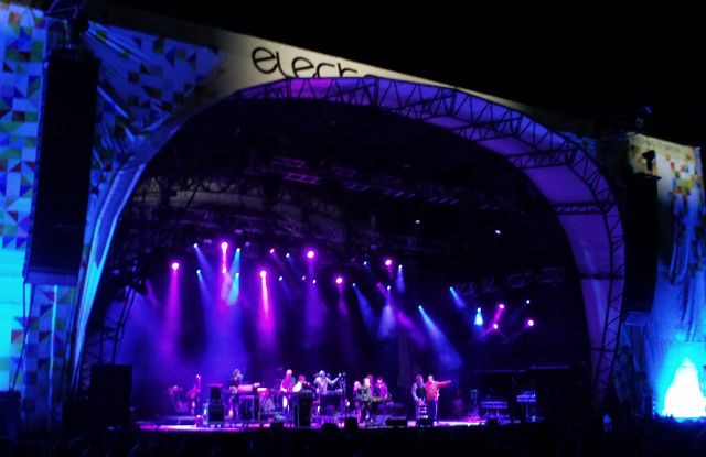 Electric Picnic - Brian Wilson